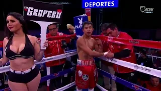 Julio César “Rey” Martínez vs Irvin Ordaz