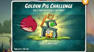 Angry Birds 2 Golden Pig Challenge How To Play Golden Pig Challenge Today With Terrence Trial #23024