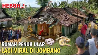 MERINDING.! Rumah Penuh Dengan Ratusan Ular Yang Lagi Viral Di Jombang