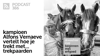 Leren trekken met Belgische trekpaarden: kampioen Alfons Vernaeve vertelt - Beginnen met erfgoed 386