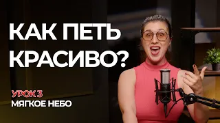 Резонаторы. Как мягкое небо влияет на звук. Уроки вокала онлайн бесплатно