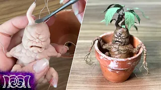 Mandrake - Harry Potter DIY