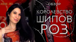 Обзор на Королевство Шипов и Роз. Непопулярное мнение о Тамлине и Ризе, кринж перевода