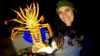 2023 California Spiny Lobster Opener and Huntington Beach Air Show! (Catch and Cook)