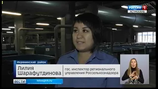 Проверка Россельхознадзора на наличие болезней реликтовых рыб в Астраханской области
