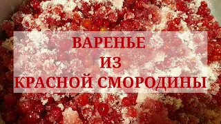 Легкое и быстрое варенье из красной смородины.