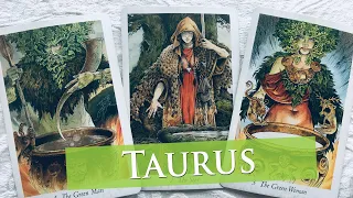TAURUS - They want to know how you feel before they make a decision. You have other options