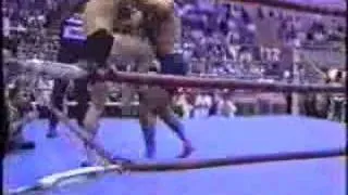 Wanderlei silva x adriano verdeli