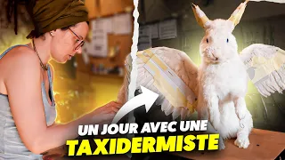 Un jour avec une taxidermiste | Curriculum