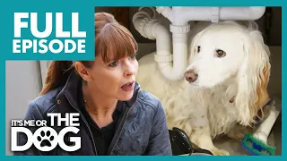 Dog RUNS & HIDES When Hearing The Word 'Fireworks' | Full Episode | It's Me or the Dog