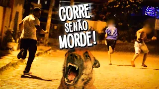 CORRE SENÃO MORDE