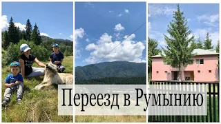 ПЕРЕЕЗД/ РУМЫНСКАЯ ДЕРЕВНЯ/ МЕДВЕДИ 😱