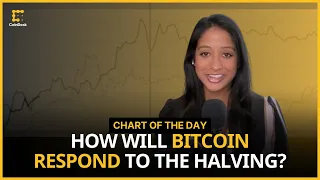 How Spot BTC ETFs Could Influence Bitcoin's Response to the Halving | Chart of the Day