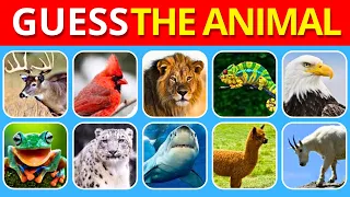 Guess the Animal in 5 Seconds | 100 Animal Quiz 2024