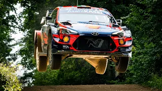WRC Rally Estonia 2020 - Top 3 Drivers