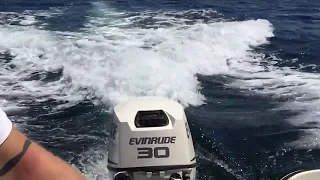 Evinrude E-Tec 30 HP Spin