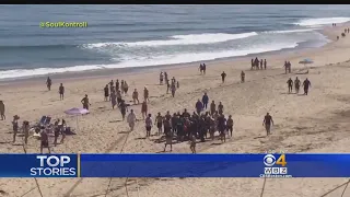 Shark Sighting Closes Cape Cod Beach One Day After Shark Attack Kills Man