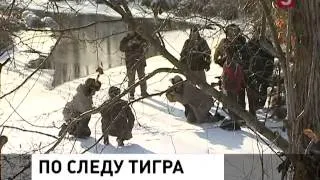 По следу тигра