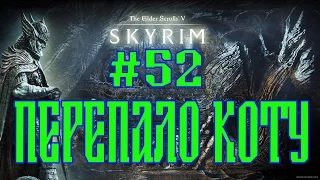 SKYRIM ASSOCIATION №52 ПЕРЕПАЛО КОТУ