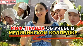 МИФ/ПРАВДА ОБ УЧЁБЕ В МЕДИЦИНСКОМ КОЛЛЕДЖЕ // НЕУЖЕЛИ ЭТО ВСЁ ПРАВДА? // МЕДИКИ НЕ СПЯТ ПО НОЧАМ?