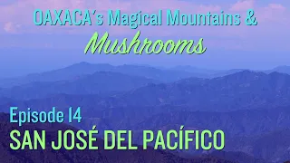 SAN JOSÉ DEL PACÍFICO - OAXACA’s magic mushroom mountain town | hike to SAN MATEO RÍO HONDA