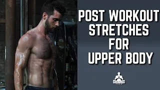 Post Workout Stretches For Upper Body | Do This After Your Upper Body Workout!