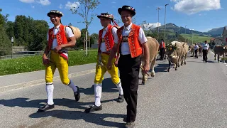 Alpfahrten Appenzell 2021