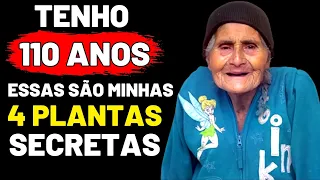 Venancia Morales (110 anos) ESSAS 4 Plantas São Minha Fonte de Juventude