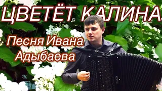 Песня ИВАНА АДЫБАЕВА «ЦВЕТЁТ КАЛИНА» 🎶песня под баянчик 🎵