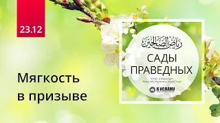 23.12 Мягкость в призыве. Причины отвержения мольбы. Хадисы 192–193 | Сады праведных