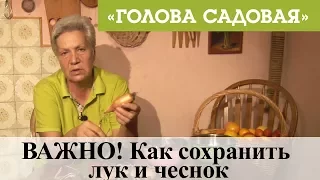 Голова садовая - ВАЖНО! Как сохранить лук и чеснок