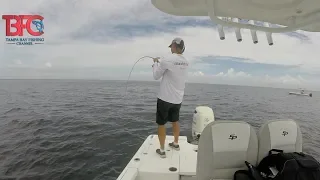 Tampa Bay Fishing for Grouper and Snapper and Catching Bait