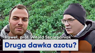 Czas na drugą dawkę AZOTU w rzepaku i zbożach?! Czy nawozimy za dużo? prof. W.Szczepaniak | e-pole