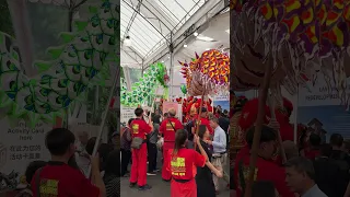 Lion Dance - Yi Wei Athletic Association at the Singapore Hokkien Lam Ann Festival