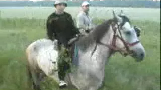 На лошадях по Костромской области
