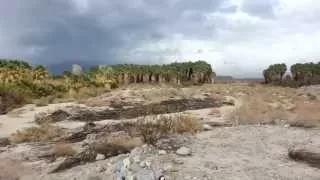 Palm Springs San Andreas Fault Oasis California