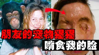 【猩猩吃脸事件】养了15年却啃了朋友的脸，野生动物真的可以当宠物吗【郑郑得证】