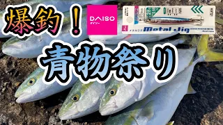 【ショアジギング】DAISOジグで爆釣青物祭り！！IN新潟
