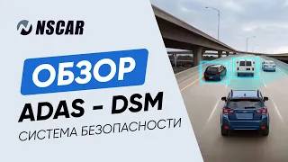 ОБЗОР системы аналитики ADAS-DSM