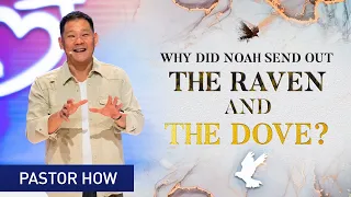 Why did Noah send out the Raven and the Dove? (Part 1 of 4) | Pastor How (Tan Seow How)
