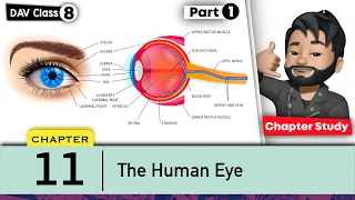 Chapter 11 | The Human Eye | Class 8 DAV Science | Chapter Study (Part 1) 🔥🔥🔥