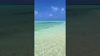 Мальдивы 2023, остров Химанду. Maldives Island Himandhoo.