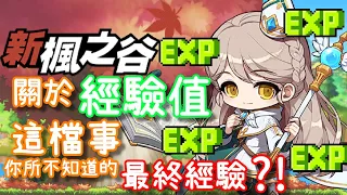 【針織帽】新楓之谷關於「經驗值」這檔事 ◎ 隱藏🤐的「最終經驗」?! ◎ 取得經驗值的各種方式＆技巧