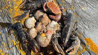 Epic Foraging Adventure!! Giant Lobster, Crab, Scallops and a Beach Cookup