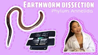 Earthworm Dissection | BIO 125-L 3677 Dry Laboratory