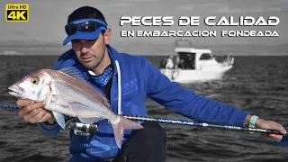 Como PESCAR PECES de CALIDAD en EMBARCACION FONDEADA