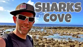 Sharks Cove Snorkeling and Explore Tide Pools - Best Things To Do on Oahu #travelvlog #tidepools