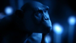 The Fundamental Truth of Life Part 2 | Charles Darwin and the Tree of Life | BBC Studios