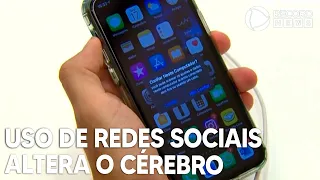 Saiba como o uso de redes sociais altera o cérebro