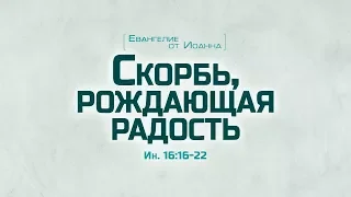 Ев. от Иоанна: 89. Скорбь, рождающая радость (Алексей Коломийцев)